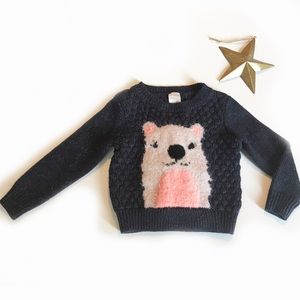 Cat and Jack Fuzzy Pink and Blue Bear Sweater